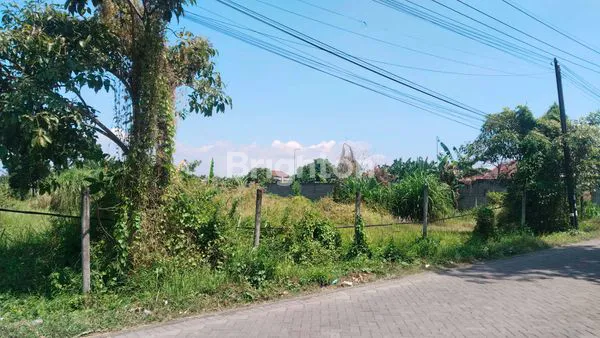 image TANAH DI JETAK PANDAAN KABUPATEN PASURUAN JAWA TIMUR (2)