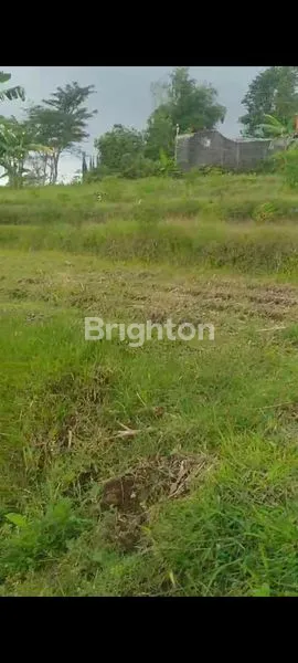 image TANAH KAVLING DI DEKAT WISATA BUKIT TRAWAS (4)