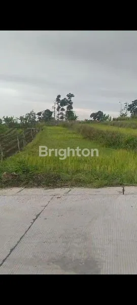 image TANAH KAVLING DI DEKAT WISATA BUKIT TRAWAS (1)