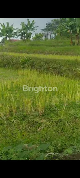 image TANAH KAVLING DI DEKAT WISATA BUKIT TRAWAS (2)