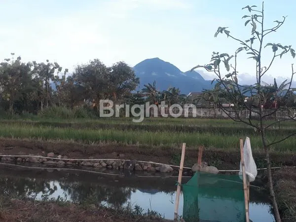 image DIJUAL MURAH TANAH KAVLING DI CIAMPEA BOGOR..  (2)