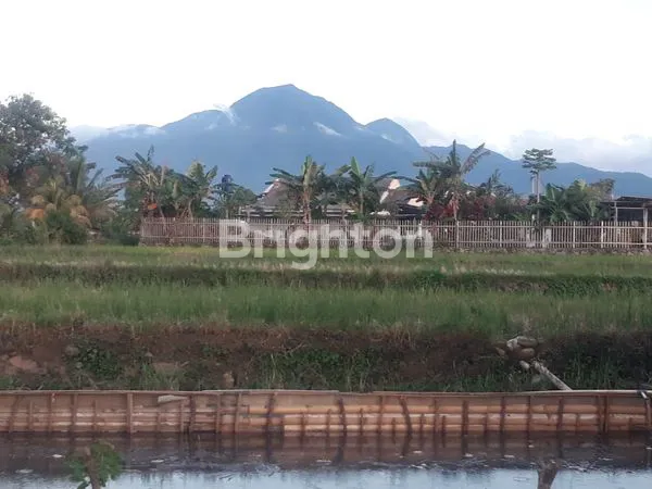 image DIJUAL MURAH TANAH KAVLING DI CIAMPEA BOGOR..  (1)