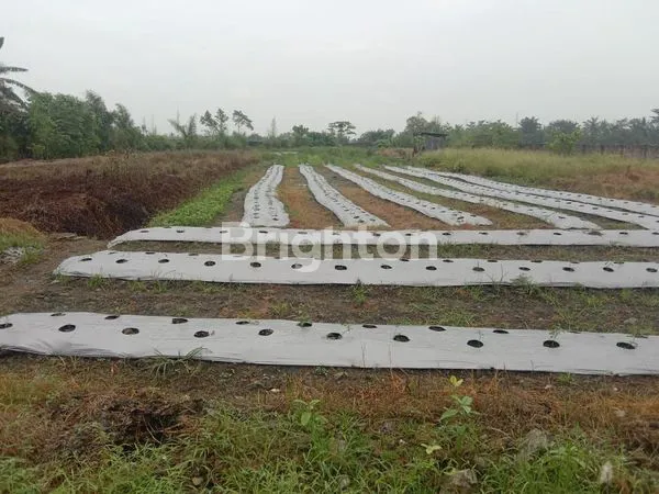 image TANAH MEDAN TEBING TINGGI (8)