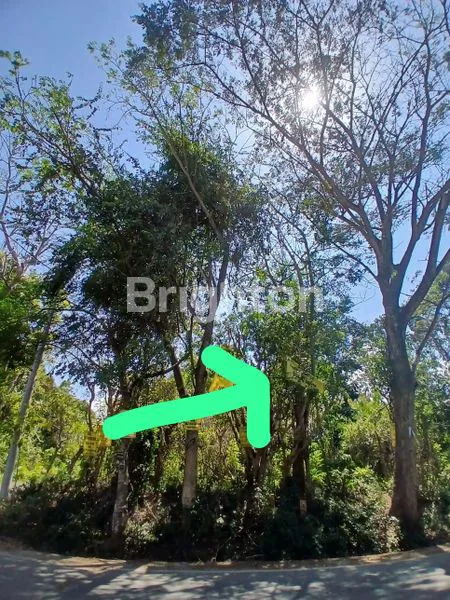 image \\UD83C\\UDF3F\\U2728 TANAH STRATEGIS DIJUAL & DISEWAKAN – JL. RAYA JIMBARAN ULUWATU \\U2728\\UD83C\\UDF3F (2)