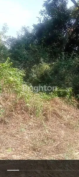 Gambar Property DIJUAL TANAH KAVLING