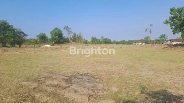 TANAH DI SEDARUM NGULING PASURUAN