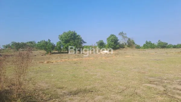 image TANAH DI SEDARUM NGULING PASURUAN (7)