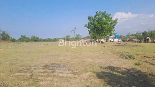 image TANAH DI SEDARUM NGULING PASURUAN (3)