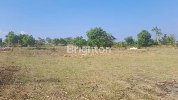 image TANAH DI SEDARUM NGULING PASURUAN (2)