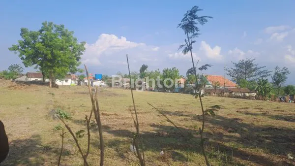 image TANAH DI SEDARUM NGULING PASURUAN (6)