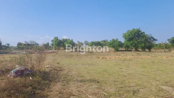 image TANAH DI SEDARUM NGULING PASURUAN (4)