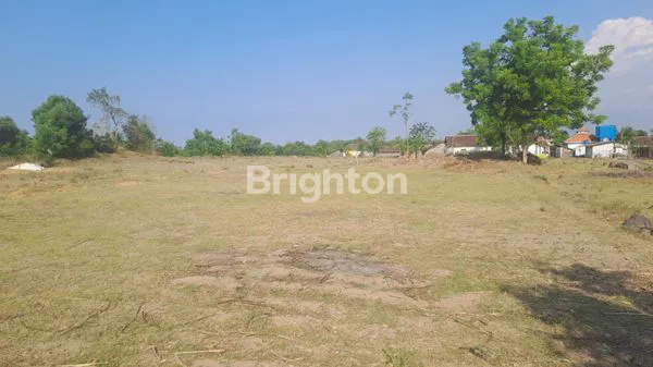 image TANAH DI SEDARUM NGULING PASURUAN (5)