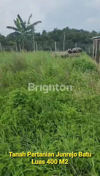 image TANAH STRATEGIS LUAS 400 M² DEKAT JATIM PARK 3 BATU (1)