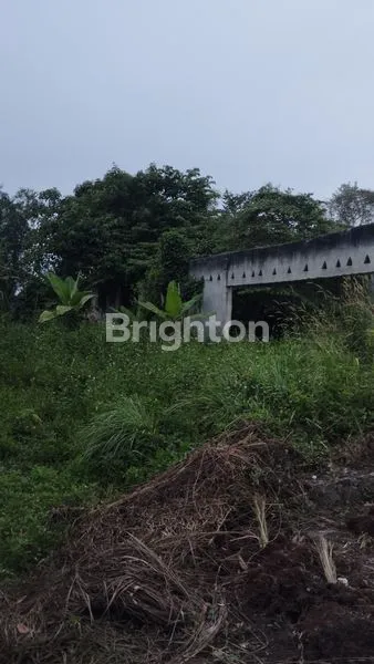 image INVESTASI TANAH 2010M² LOKASI BERKEMBANG DI CILAKU TENJO BOGOR (2)