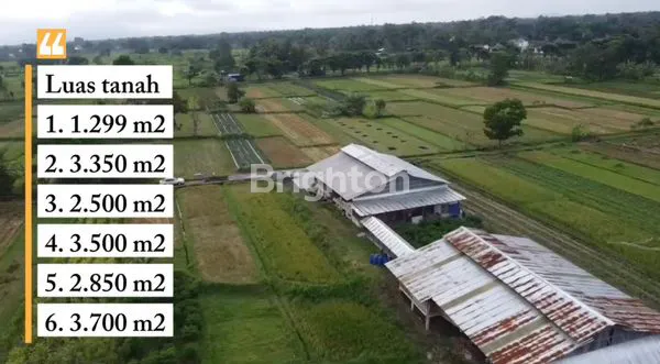 image TANAH PREMIUN AREA JOMBOR DEKAT CALON TOL JOGJA (2)