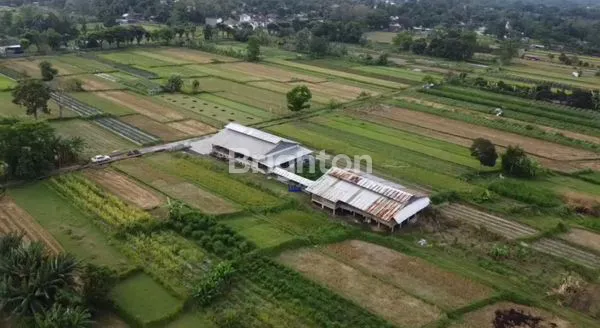 image TANAH PREMIUN AREA JOMBOR DEKAT CALON TOL JOGJA (8)