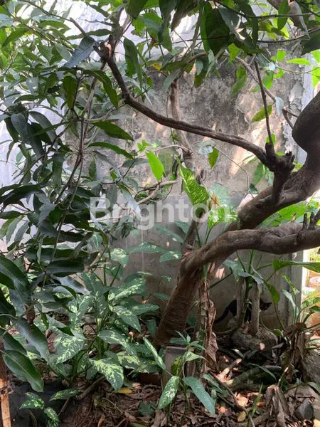 image DIJUAL CEPAT RUMAH LAMA & TANAH PERUMAHAN BUKIT JAYA GUNUNG PUTRI (7)