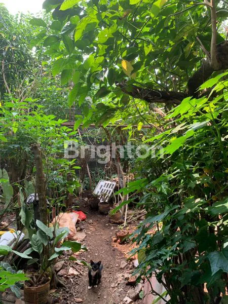 image DIJUAL CEPAT RUMAH LAMA & TANAH PERUMAHAN BUKIT JAYA GUNUNG PUTRI (8)