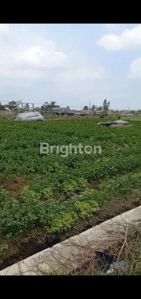 image TANAH MURAAH DAN STRATEGIS  JALAN RAYA METRO KOTA BATU (1)