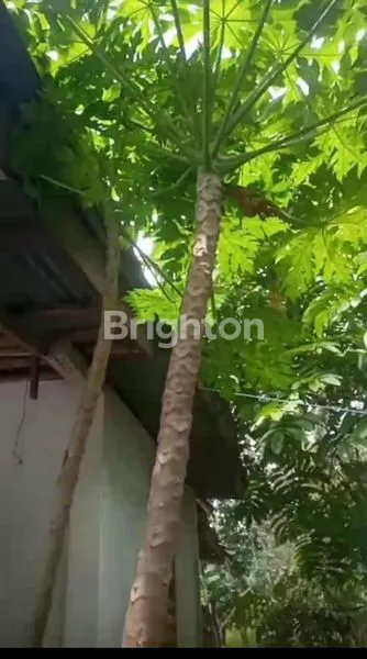 image TANAH LUAS 8640M² STRATEGIS DEKAT SEKOLAH AL AZHAR PANAM (3)