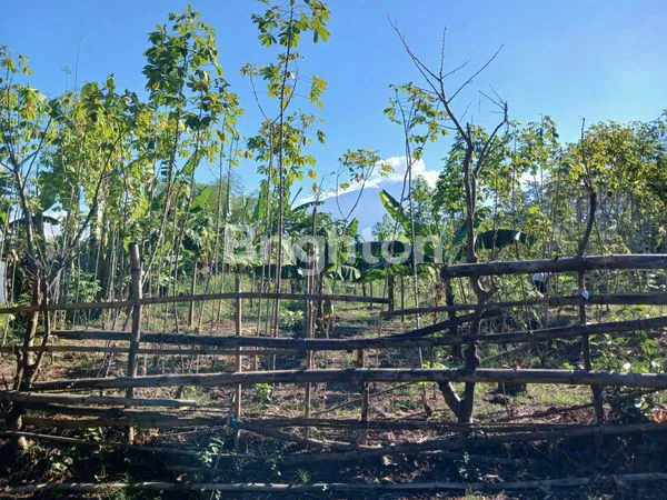 TANAH DIJUAL DAERAH TAMAN DAYU