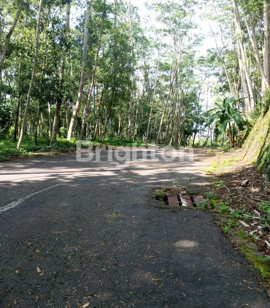 image TANAH INDUSTRI 11 HA SHM STRATEGIS DI SUKOHARJO (6)