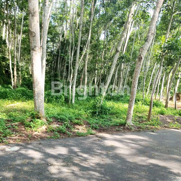 image TANAH INDUSTRI 11 HA SHM STRATEGIS DI SUKOHARJO (2)