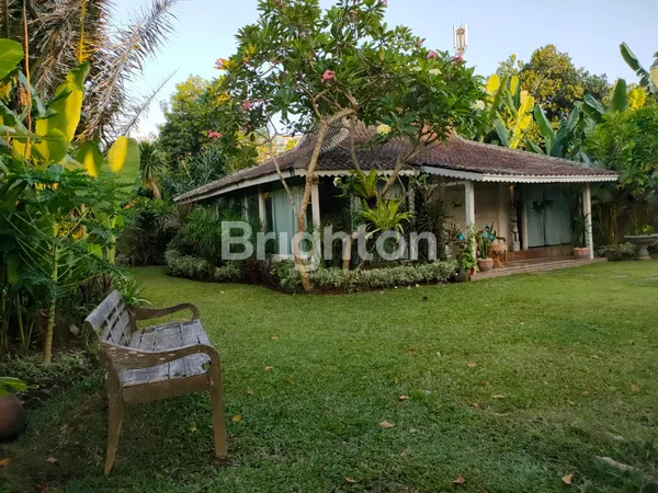 image VILLA KEBUN EKSKLUSIF DI SANUR LUAS 11 ARE (3)