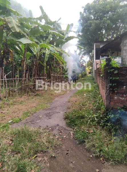 DIJUAL TANAH STRATEGIS 8,5 ARE DI KALIASEM, SERIRIT – POTENSI TINGGI UNTUK INVESTASI / VILLA / USAHA PARIWISATA