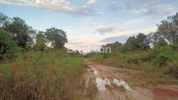 TANAH PINGGIR SUNGAI 10 HEKTAR DI BANTUAS