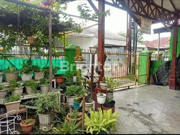 image RUMAH 7 M X 21 M , DI MEDAN PETISAH (8)