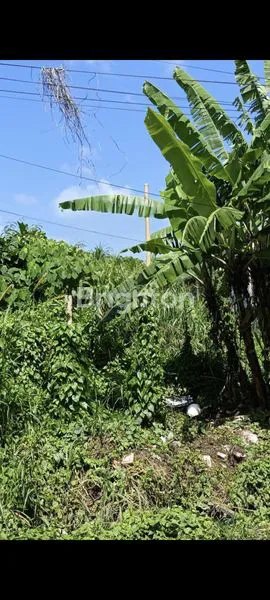 image DISEWAKAN TANAH STRATEGIS DI JL. DEWR SRI (3)