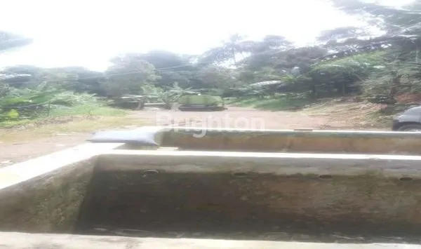 image DI JUAL TANAH 8,5 HA PERKEBUNAN PRODUKTIF – CIANJUR TAPAL KUDA (5)