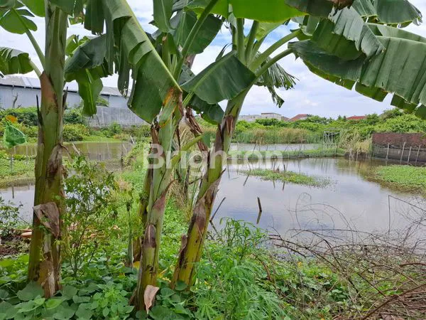 image TANAH DEKAT KELURAHAN TRIMULYO GENUK (2)