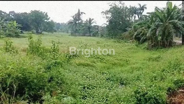 image TANAH DI PINGGIR JALAN RAYA   BALARAJA CIKANDE  (1)