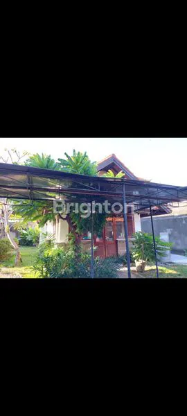 image DIJUAL RUMAH ASRI DAN MEWAH DI PUSAT KOTA DENPASAR (5)