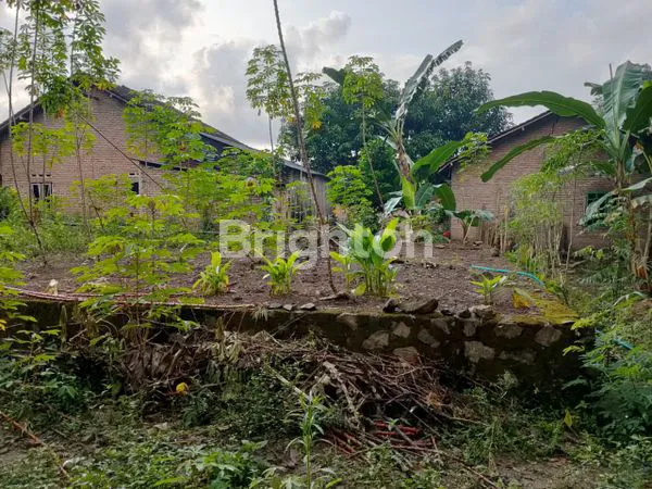 image TANAH STRATEGIS PINGGIR JALAN DEKAT WISATA HURUN INN LAMPUNG\N (2)