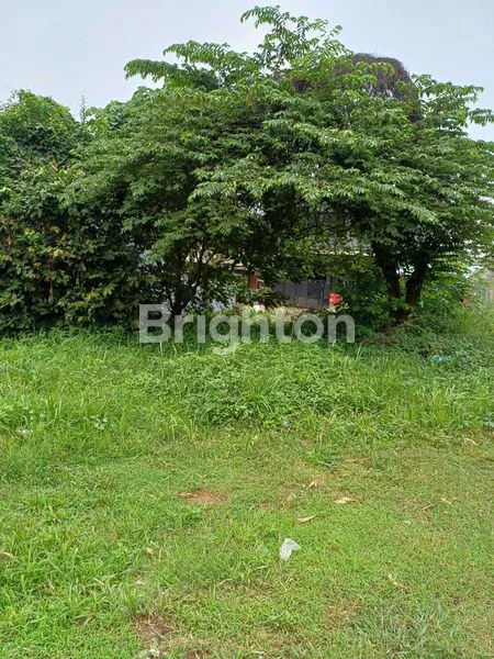 image TANAH DATAR LOKASI PREMIUM UNTUK USAHA (3)