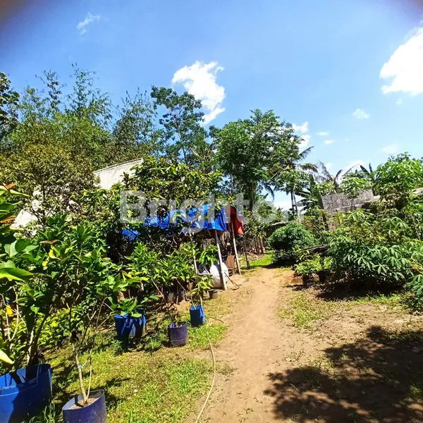 image TANAH DAN BANGUNAN RUKO DAN RUMAH MAKAN AREA KOMERSIAL STRATEGIS DI KAWASAN UTAMA KEPANJEN\N (8)