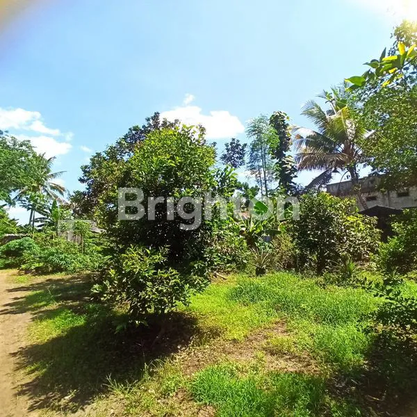 image TANAH DAN BANGUNAN RUKO DAN RUMAH MAKAN AREA KOMERSIAL STRATEGIS DI KAWASAN UTAMA KEPANJEN\N (7)