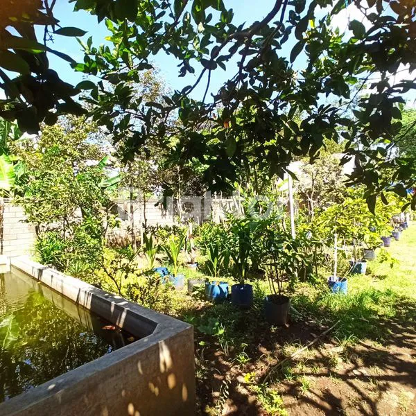 image TANAH DAN BANGUNAN RUKO DAN RUMAH MAKAN AREA KOMERSIAL STRATEGIS DI KAWASAN UTAMA KEPANJEN\N (6)