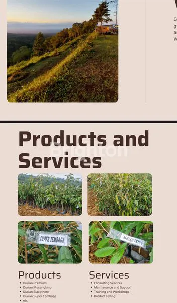 image LAHAN PERKEBUNAN DUREN DI BALI (6)