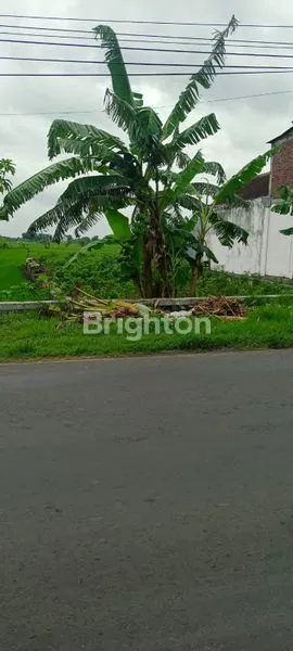 image TANAH DI PINGGIR JALAN UTAMA DAERAH GRESIK (2)