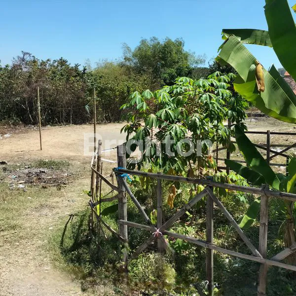 image TANAH COCOK UNTUK PERUMAHAN DI GRESIK (4)