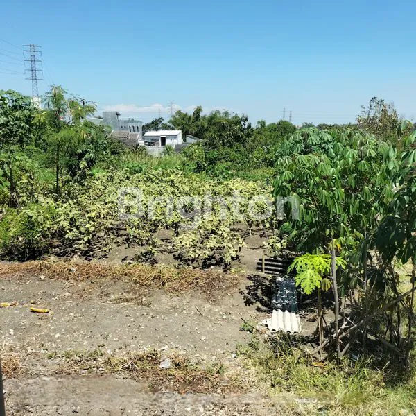 image TANAH COCOK UNTUK PERUMAHAN DI GRESIK (3)