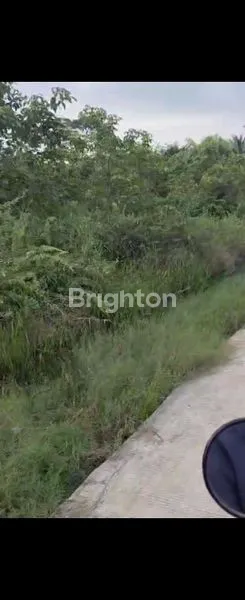 image DIJUAL TANAH TERITIP (3)