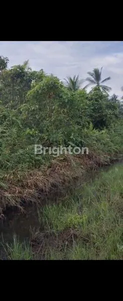 image DIJUAL TANAH TERITIP (2)