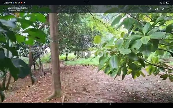 image LAHAN STRATEGIS 2300 METER PINGGIR JALAN RAYA CEGER PONDOK AREN  (4)