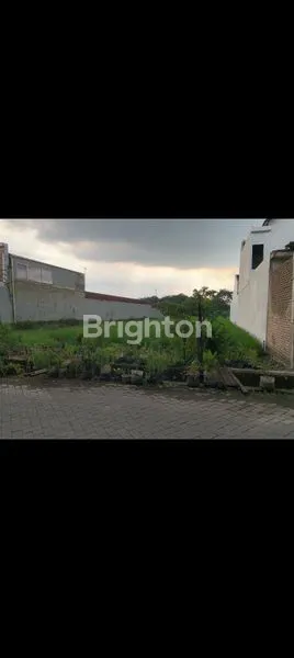 image DISEWAKAN TANAH SAWAH (2)