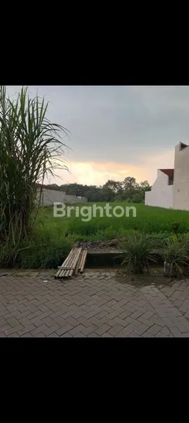 image DISEWAKAN TANAH SAWAH (4)